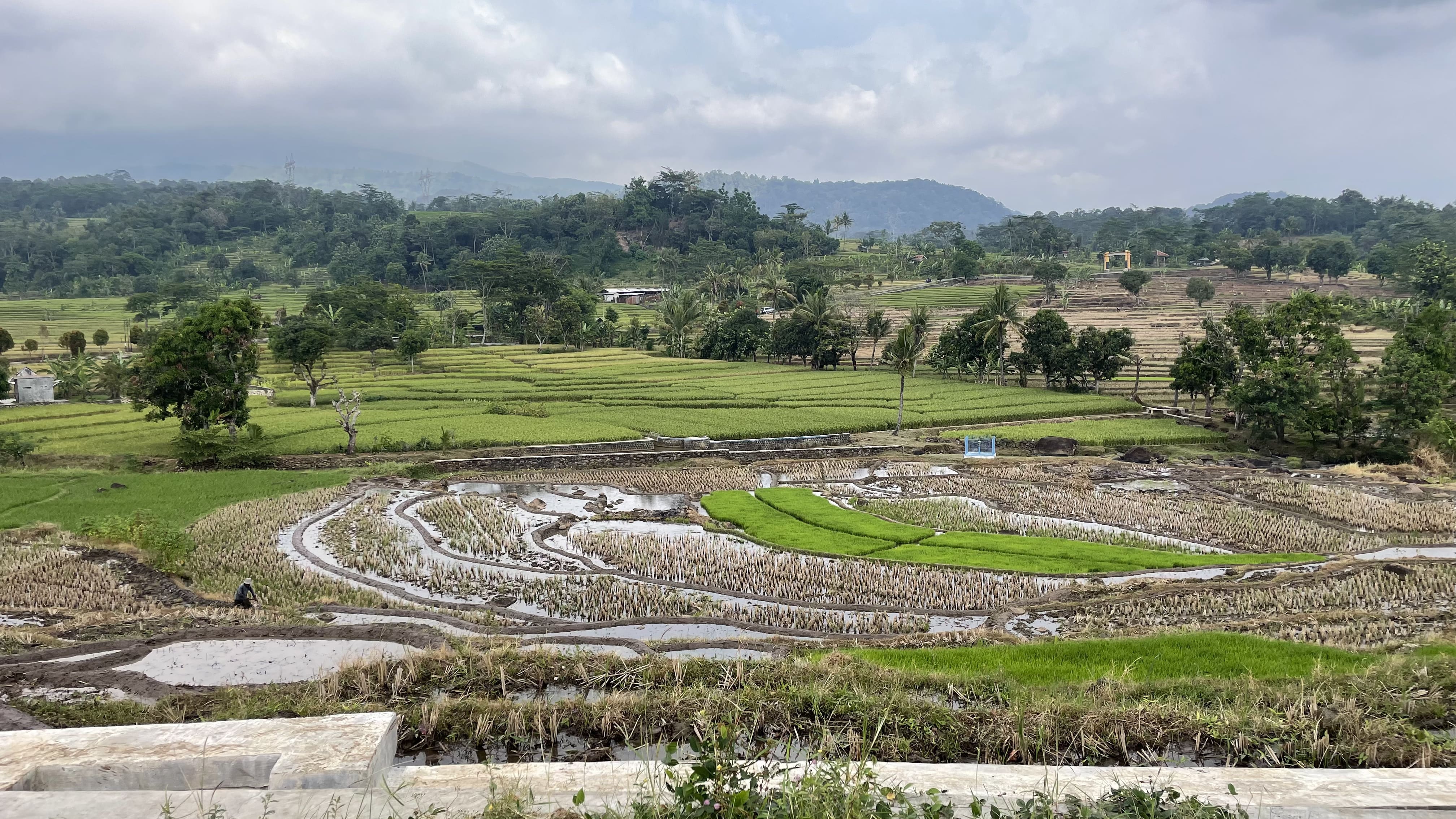 Kegiatan Warga