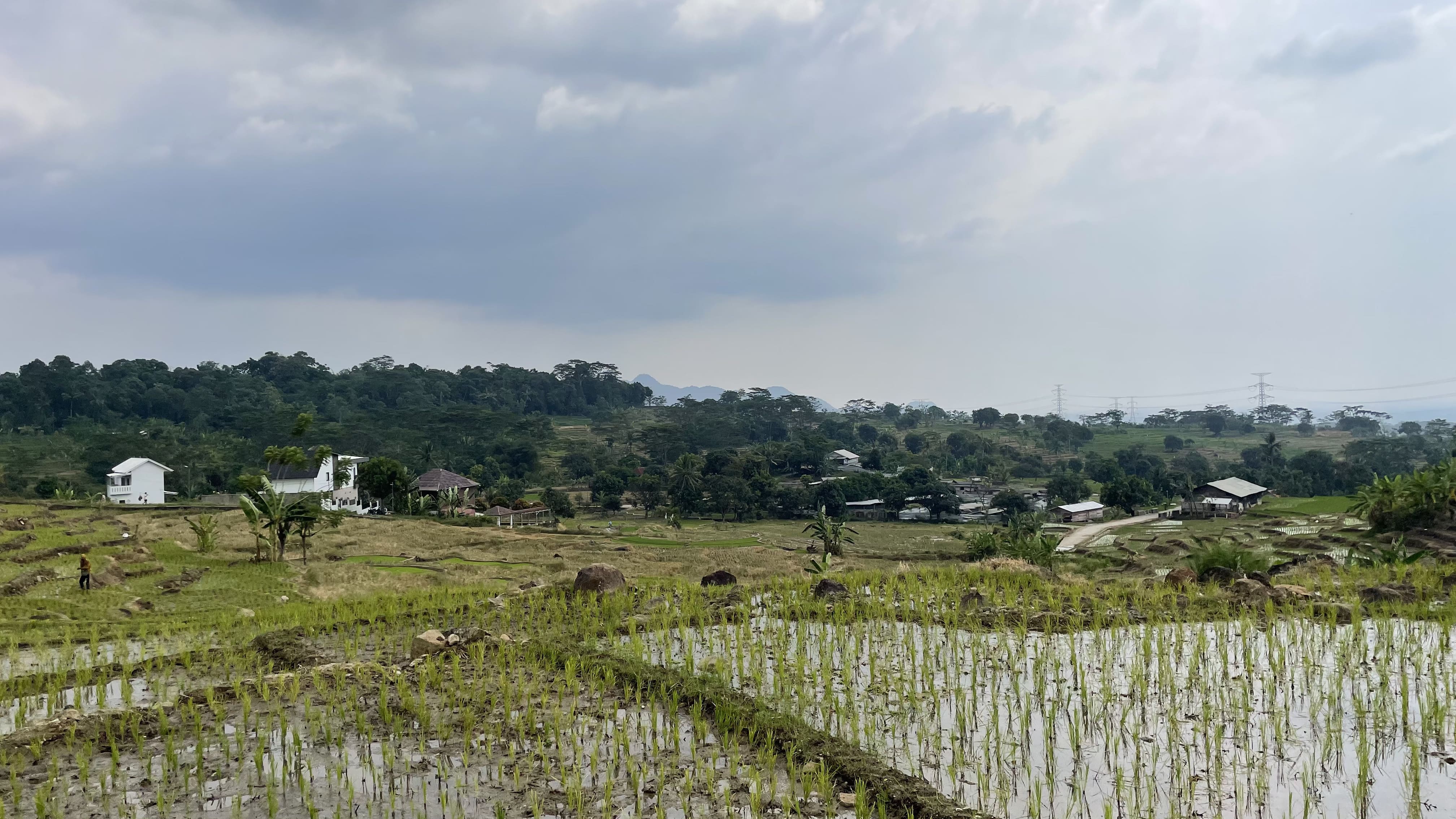 Bukit Hijau